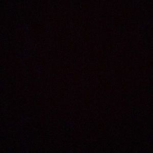 Meet your Posher, Allie